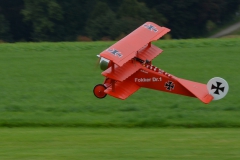 DSC_0987-1