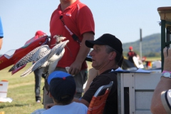 Graupner-2012-21